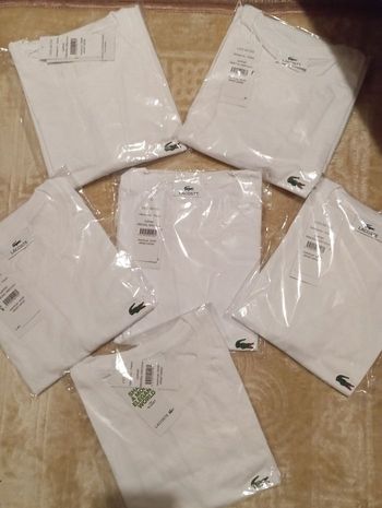 Tee shirt Lacoste 