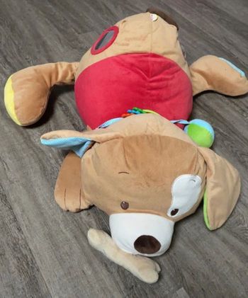 Grand nounours chien