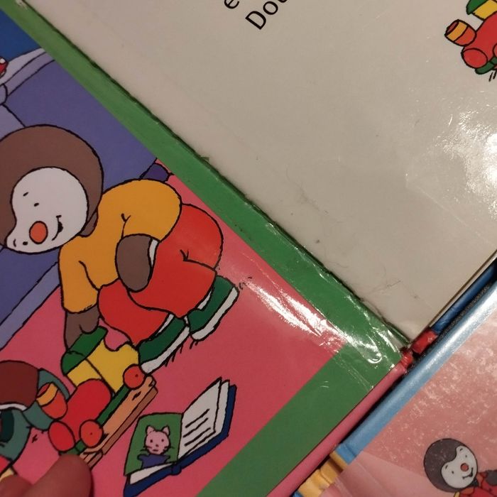 Lot de 4 Livres enfant Nathan T'choupi - photo numéro 6