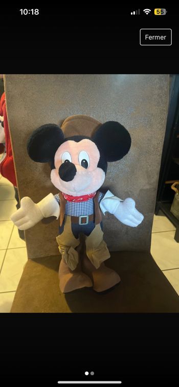 Mickey Cowboy