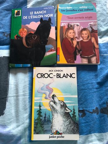 Lot livres 8-10 anse