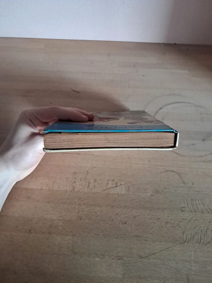 Livre Fancio Pilote de Course Par Olivier Merlin - photo numéro 6