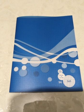 Cahier 96 pages à petits carreaux. Taille 17x 24 cm