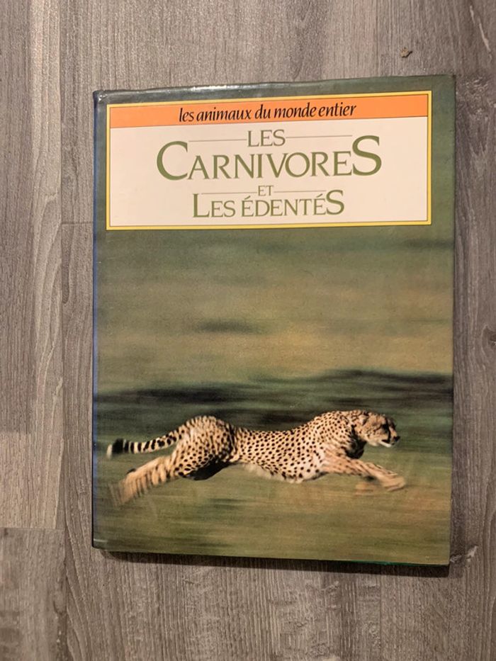 Les carnivores et les édentés