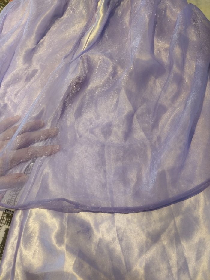 Déguisement Jasmine - photo numéro 6