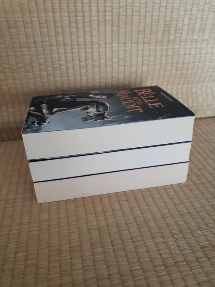 La Belle et le Maudit 3 tomes - photo numéro 5