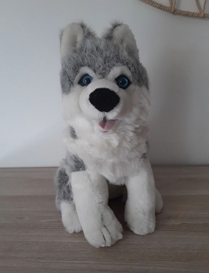 Peluche Husky