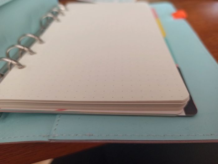 Journal - photo numéro 6