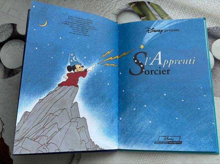 Livre Disney - photo numéro 2