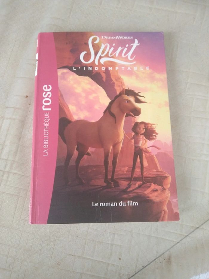 Spirit bibliothèque rose