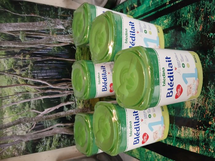 🍼 Lot de 6 boîtes de lait Blédilait 1er âge (BLEDINA )