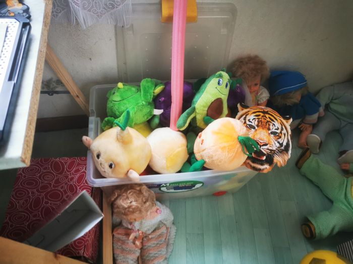 Peluches - photo numéro 5
