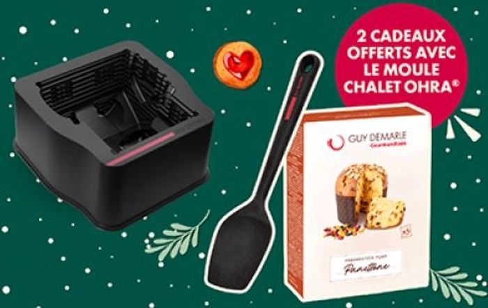 Moule chalet guy demarle