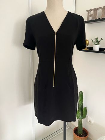 Robe Claudie pierlot