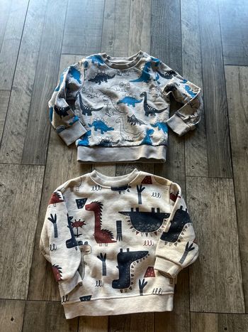 2 pulls polaire à l’intérieur
