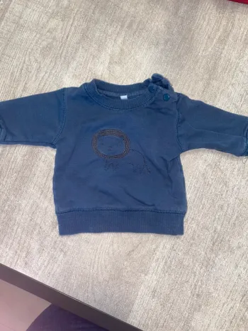Sweat bleu sans marque (lion brodé)