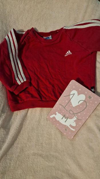 Sweat Adidas 🌺 12 mois