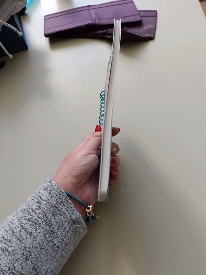 Cahier pour écrire la reine des neiges - photo numéro 7