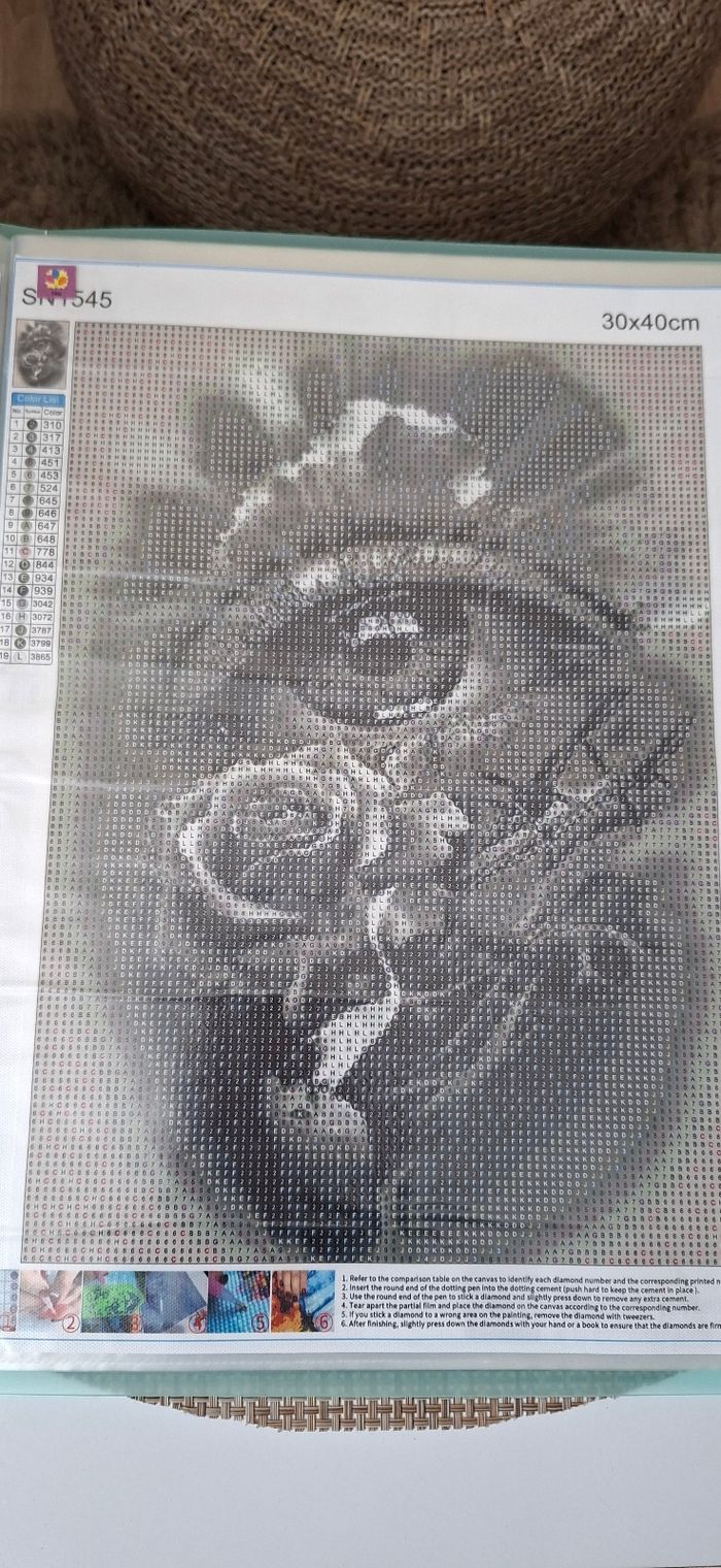 Diamant Painting 💎