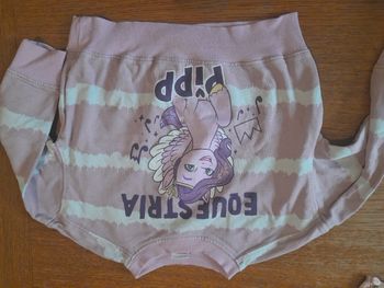 Pull licorne 