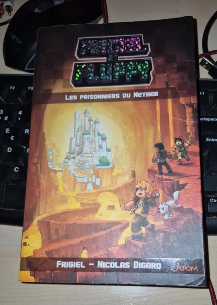 2 livres Frigiel et Fluffy tome 1 et 2