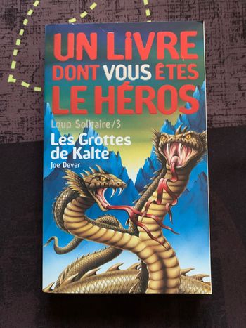 Un livre dont vous êtes le héros 