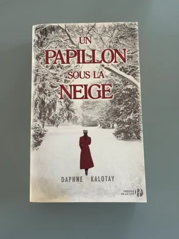 Livre type Roman un papillon sous la neige par Daphne Kalotay
