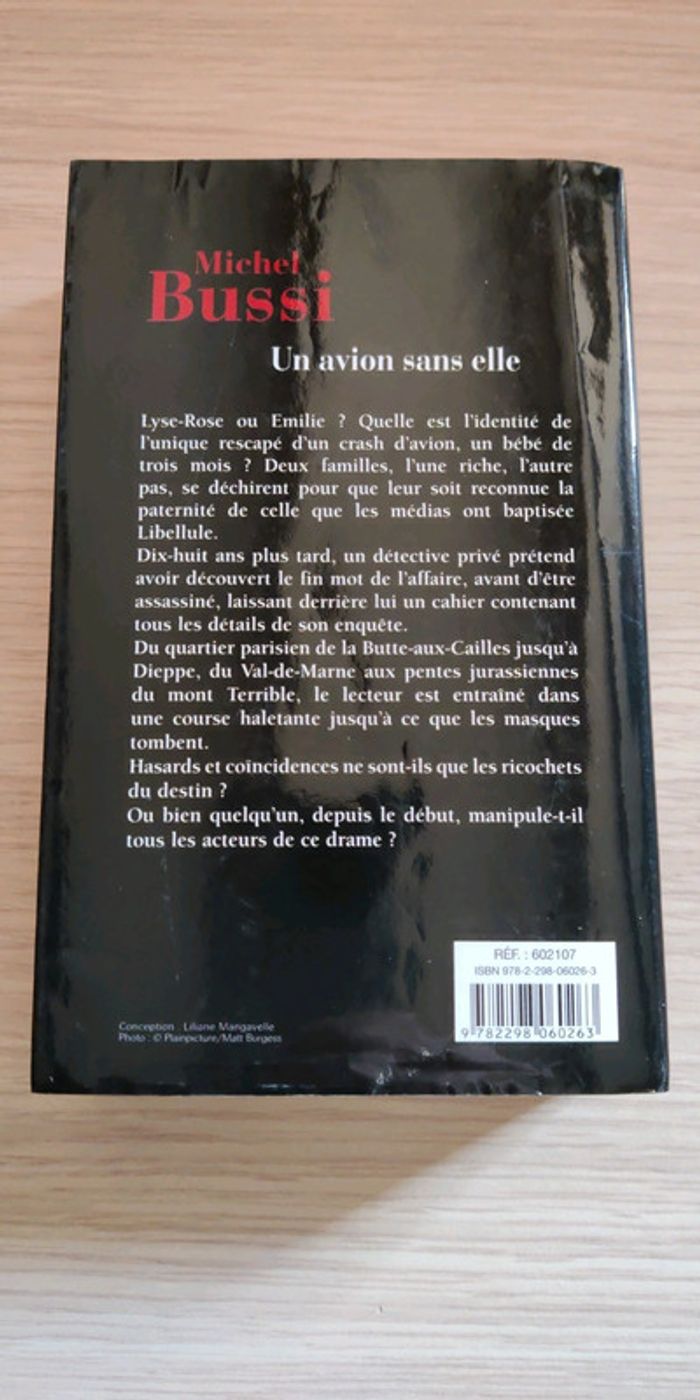Un avion sans elle de M Bussi - photo numéro 2