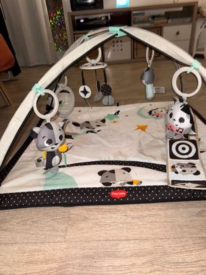 Tapis d’éveil Tiny Love - photo numéro 5