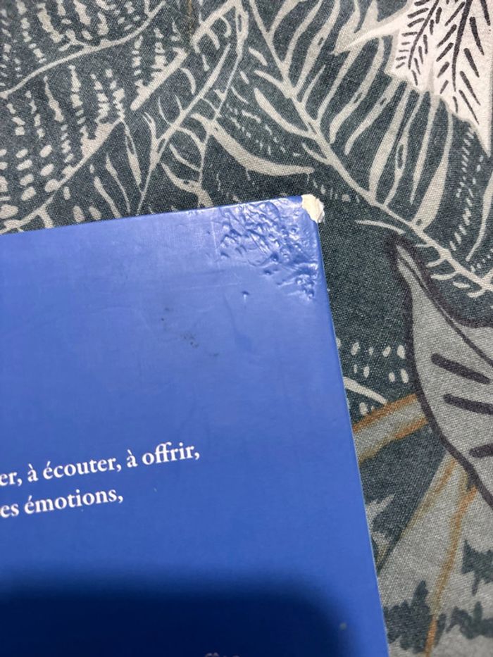 Livre le loup qui fêtait son anniversaire - photo numéro 6