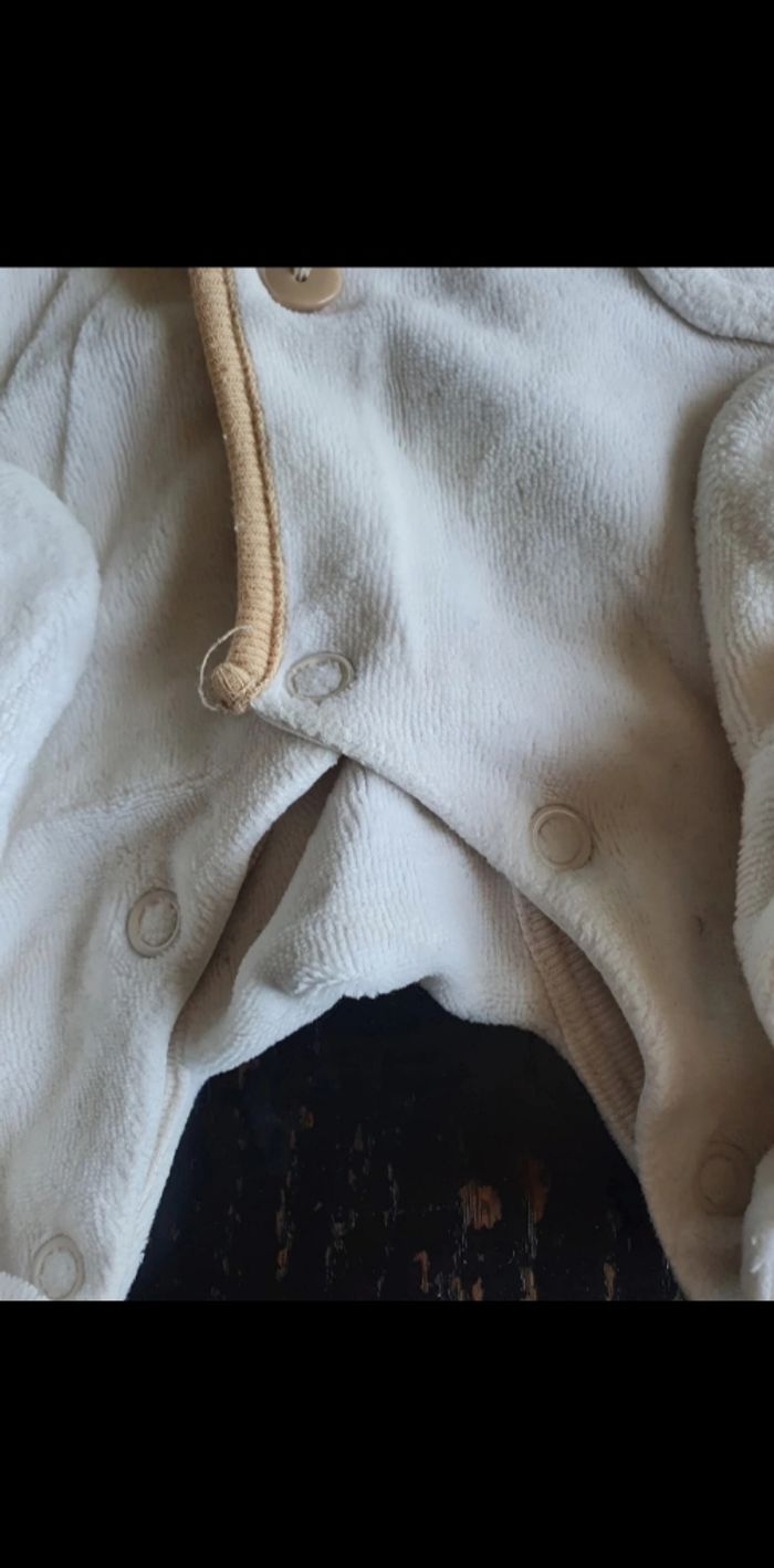 Grenouillère - photo numéro 3