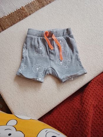 Short Winnie