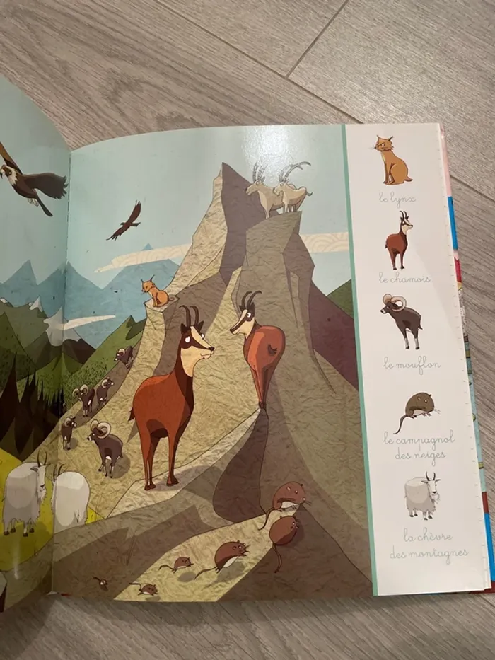 Grand livre des animaux - photo numéro 3