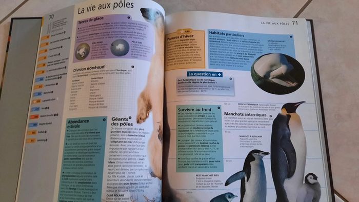 Le monde animal- le grand Quiz des connaissances - photo numéro 3