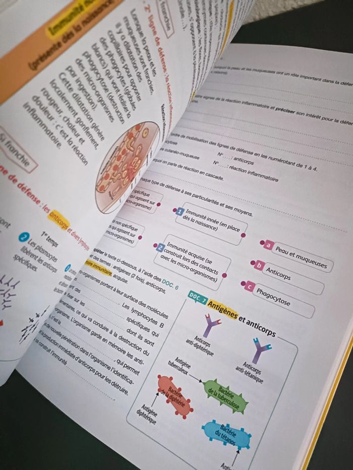 Livre scolaire bac pro prévention santé environnement - photo numéro 6