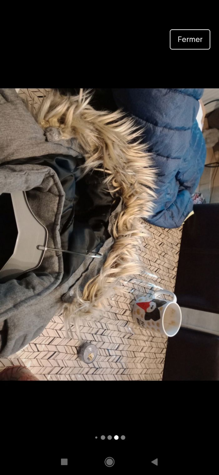 Veste garçon 10 ans - photo numéro 2