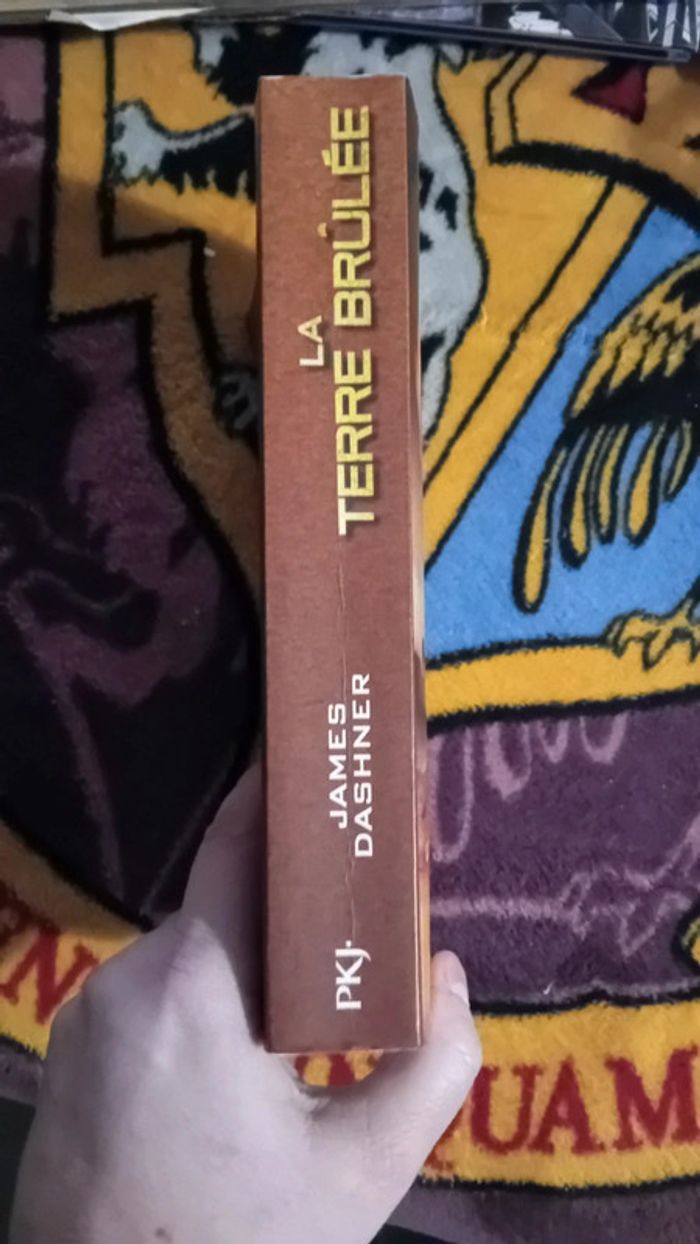 Livre la terre brûlée le labyrinthe - photo numéro 4
