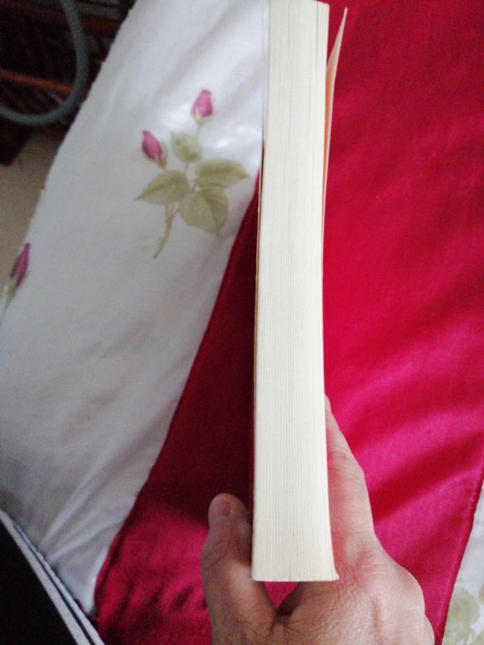 Six appeal - photo numéro 6