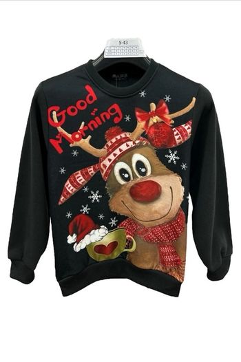 Sweat Noël – « Good Morning » Renne