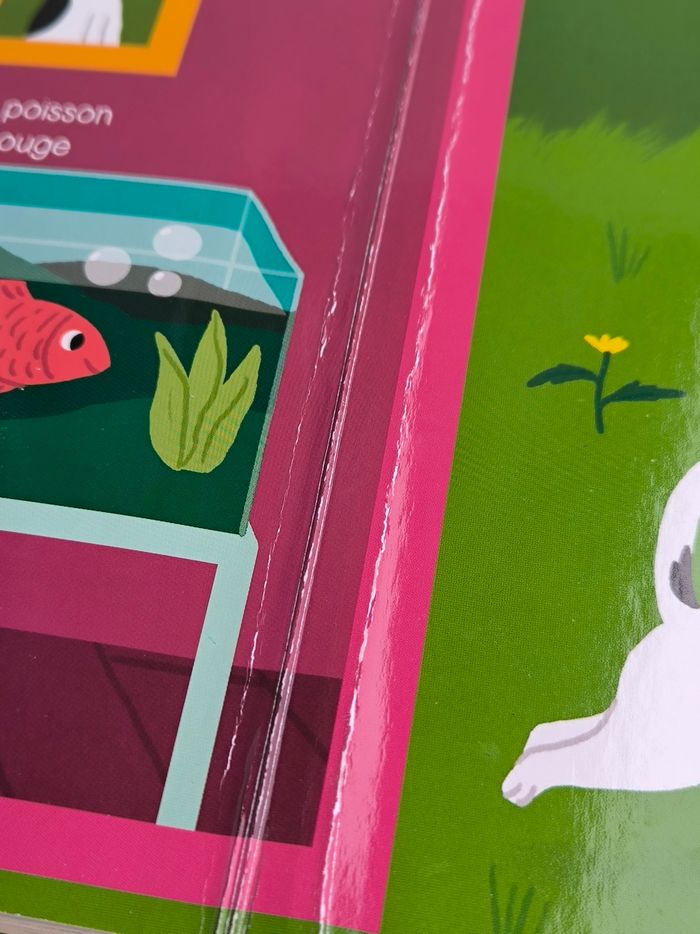 Livre Les animaux de compagnie Auzou - photo numéro 9