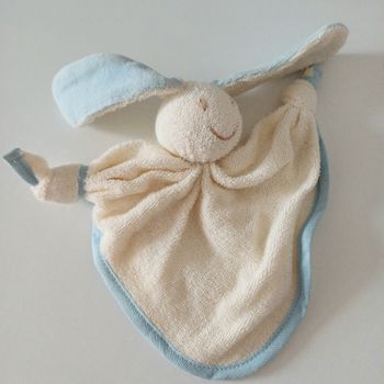 Petit  lapin keptin jr