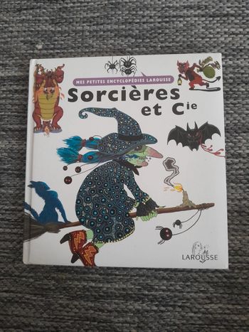 Livre Sorcières et Cie 🌺petites encyclopédies Larousse