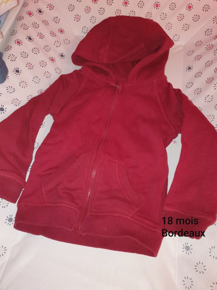 Veste sweat à capuche 18 mois