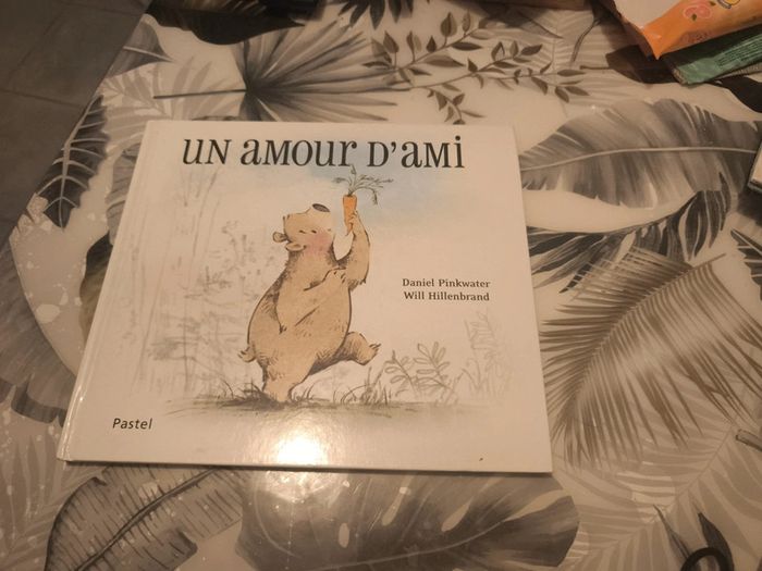 Album école des loisirs un amour d'ami
