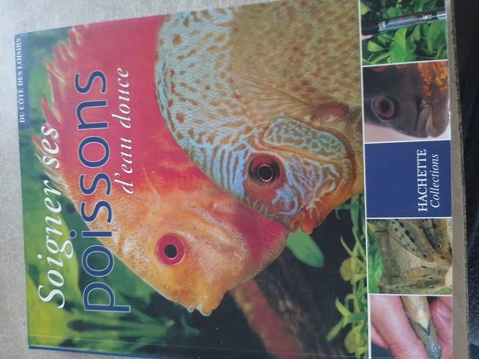 Choisir et soigner ses poissons d'eau douce - photo numéro 3