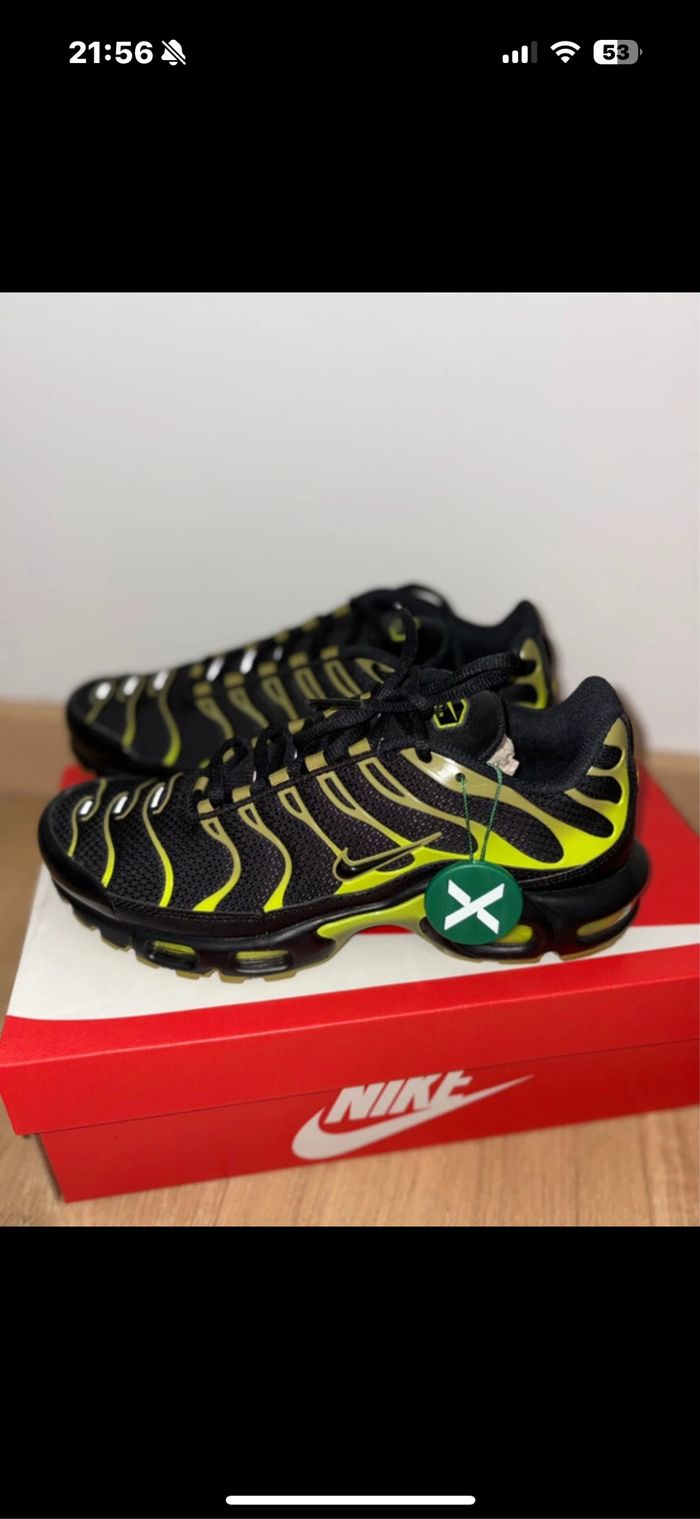 TN cyber Pacific Moss