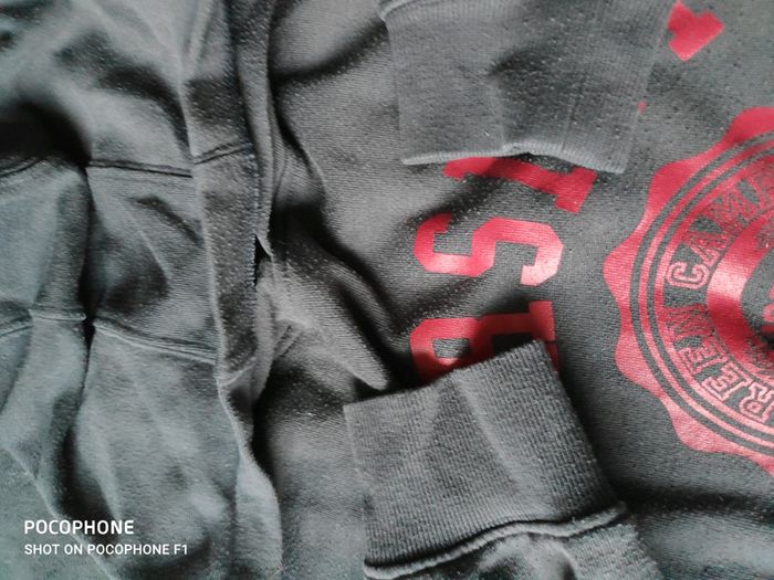 Sweat capuche 14 ans - photo numéro 4