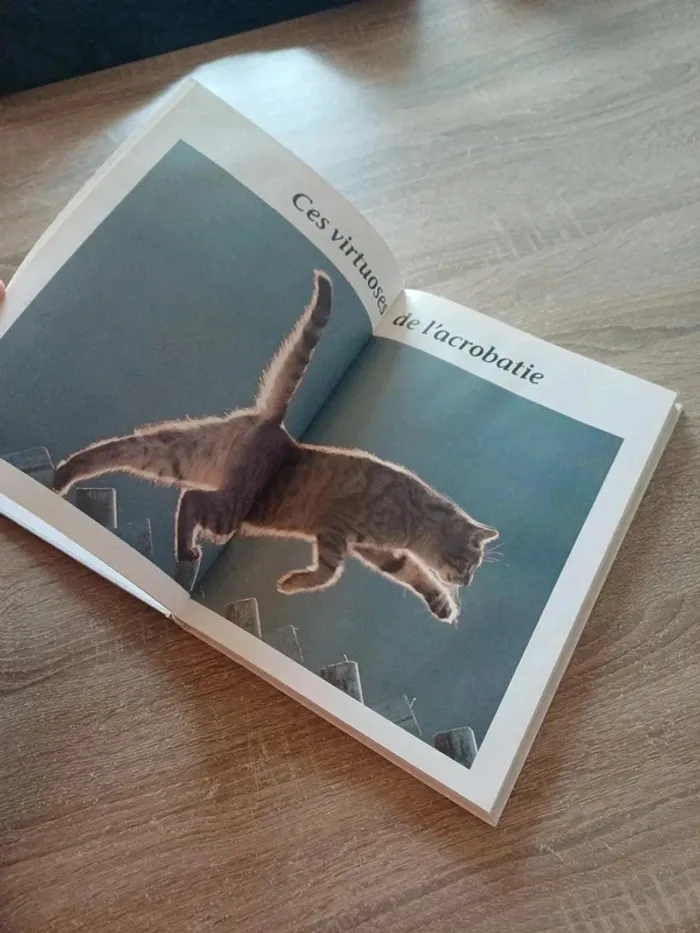 Livre " les chats , ces compagnons de jeu aux pattes de velours " - photo numéro 7