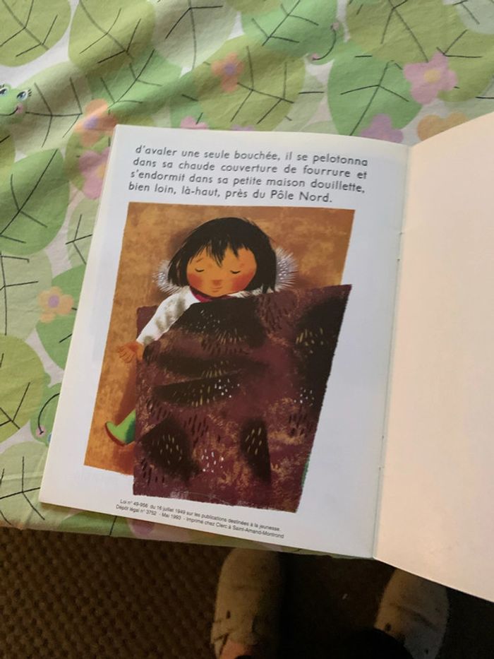 Le petit esquimau - photo numéro 5