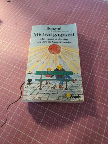 Renaud mistral gagnant